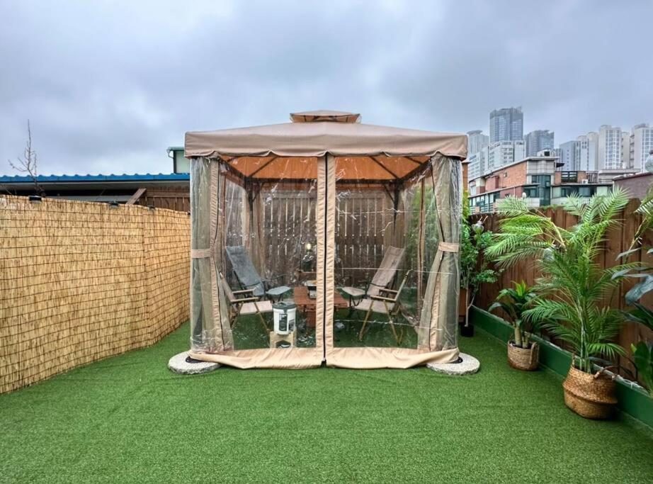 Ttm Apartment